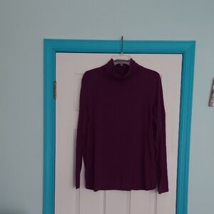 Susan Graver Turtleneck Top